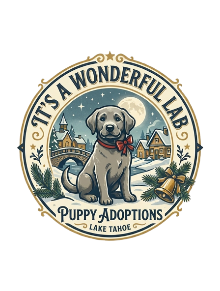 It's A Wonderful Lab